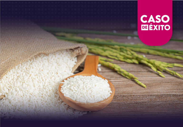 Caso de éxito: empresa arrocera